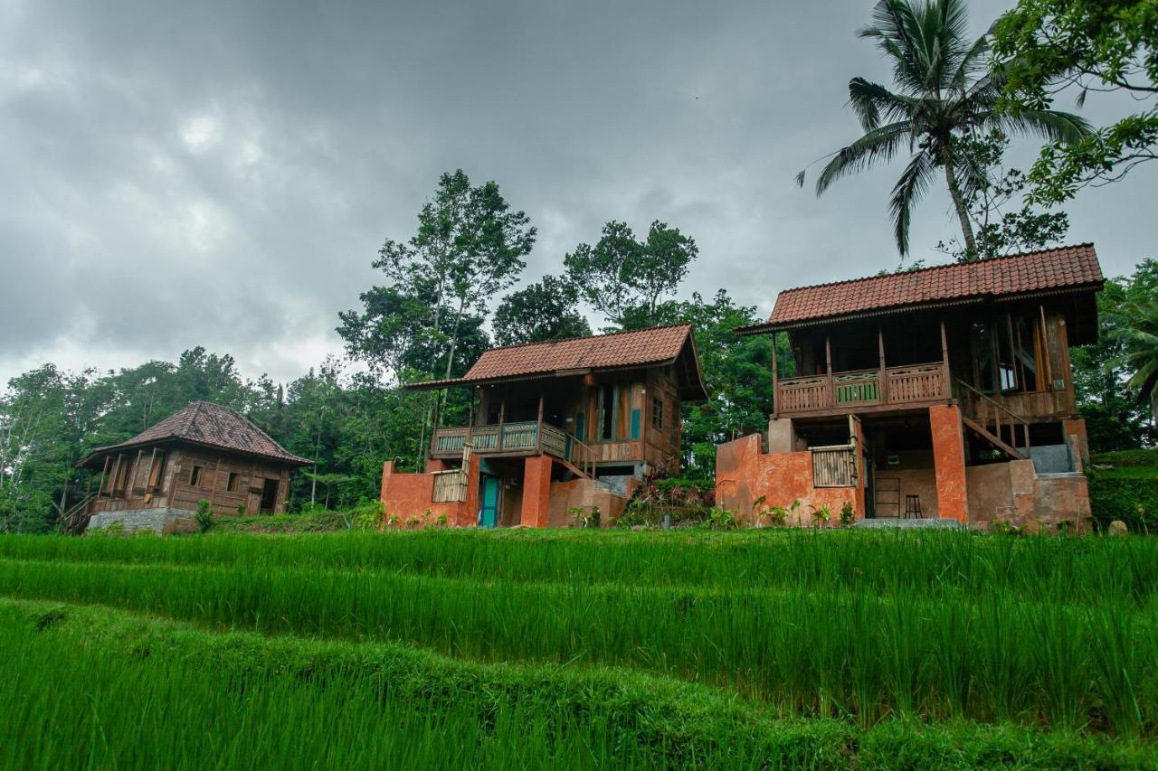 Tepi Sawah Lodge & Retreat ジャティルウィ エクステリア 写真